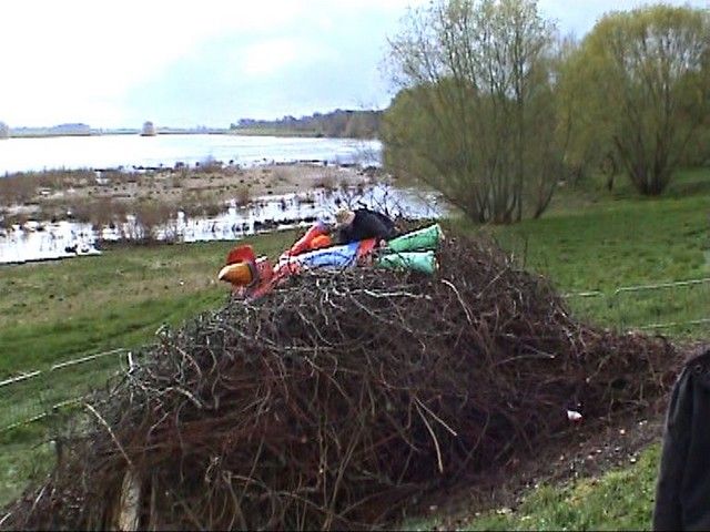 carnaval 2008 (78).jpg